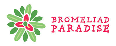 Bromeliad Paradise