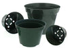 Green Plastic Pots | Bromeliad Paradise